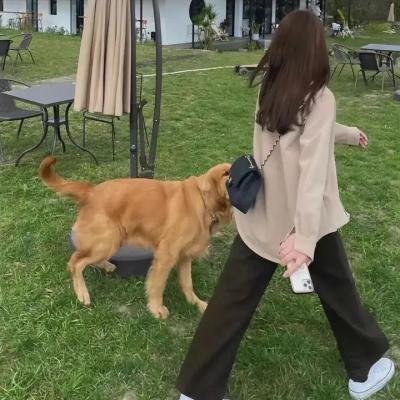 东方的承诺 剧照